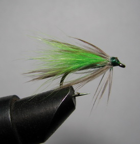 ���� ������ Wet fly 